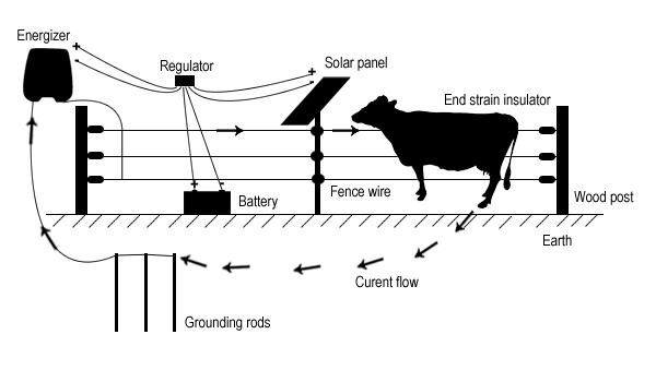 Electric fence diagram for farm-Security electric fence energizer